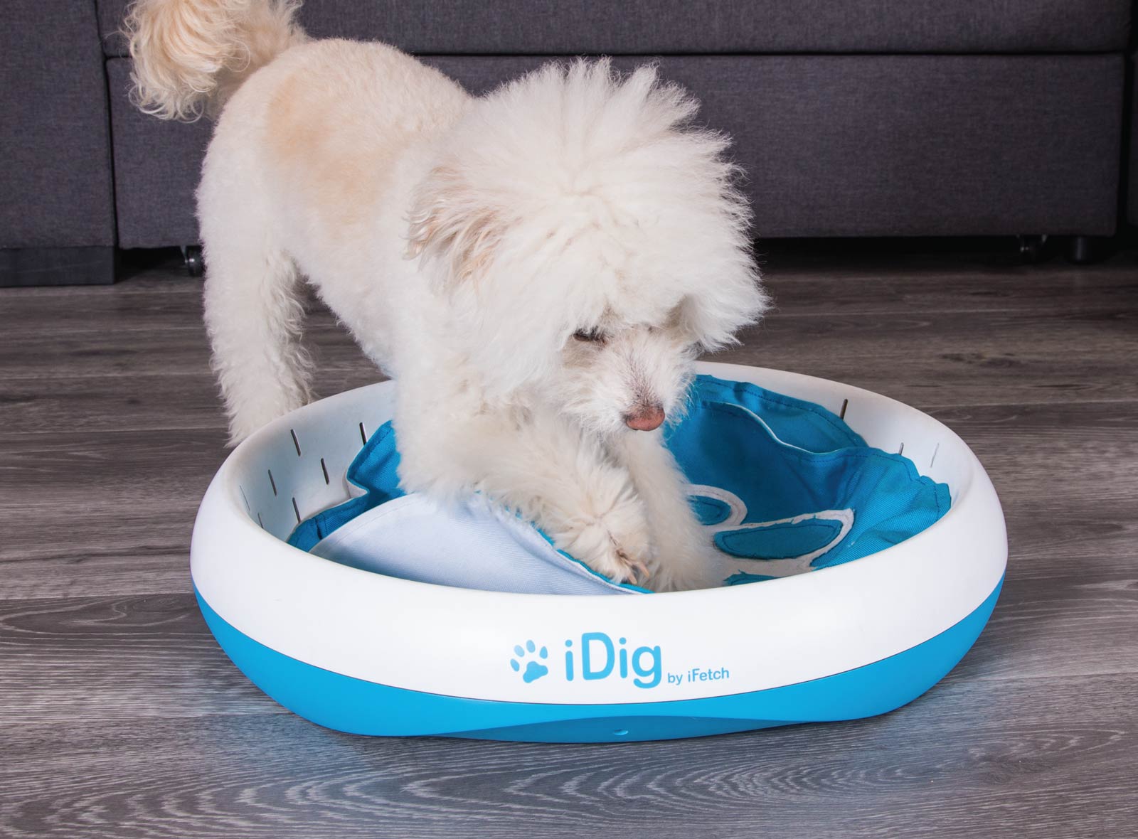 iDig Stay Digging Toy for Dogs