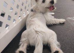 293198600_2863684963940091_8441297321072641111_n