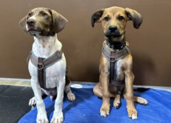 Doc and Charlie together